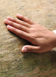 A hand, placed on the trunk A hand, placed on the trunk