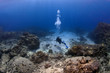 Lone Scuba Diver on a mission