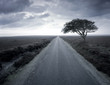 Dirt road stretching through rural landscape