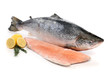 Big salmon fish and a fillet isolated on white Big salmon fish and a fillet isolated on white