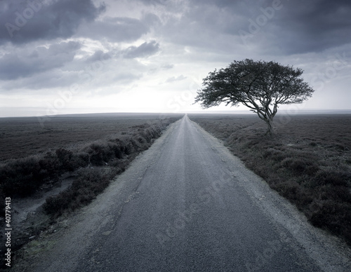 Photo: Dirt road stretching through rural landscape Dirt road stretching through rural landscape