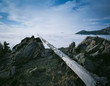 Photo: Bare log stretching over rocky cliff Bare log stretching over rocky cliff