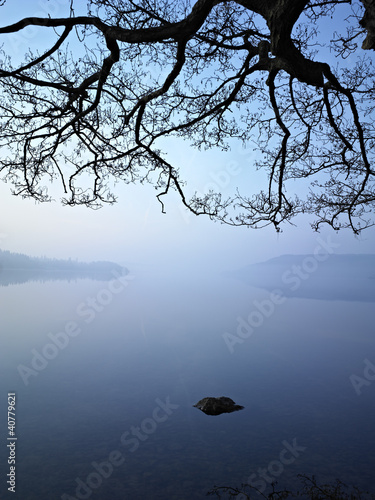Photo: Tree stretching over still lake Tree stretching over still lake