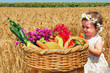 Jewish Holidays - Shavuot Jewish Holidays - Shavuot