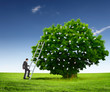 Illustration: Money tree and young business mans Money tree and young business mans