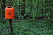 Waldpapierkorb