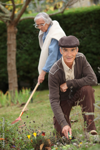 Photo: Tasks in the Garden Tasks in the Garden