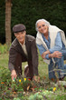 senior couple gardening