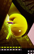 kidney kidney