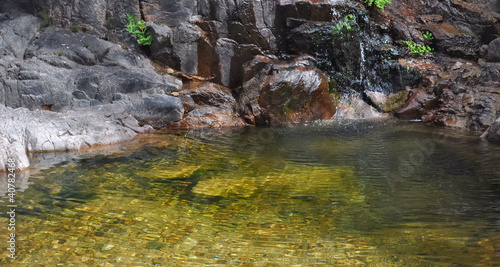 Photo: piscine naturelle piscine naturelle