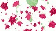 Falling roses (ends on blue) Falling roses (ends on blue)