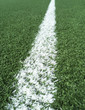 Soccer Field