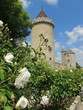 chateau des blandy les tours en 77