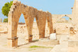 cyprus in the spring cyprus in the spring