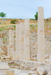 cyprus in the spring