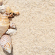 Starfish on the Beach