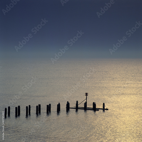 Photo: Wooden posts in still lake Wooden posts in still lake