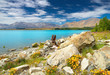 Lake Tekapo, New Zealand