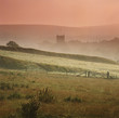 Rural landscape cloaked in fog