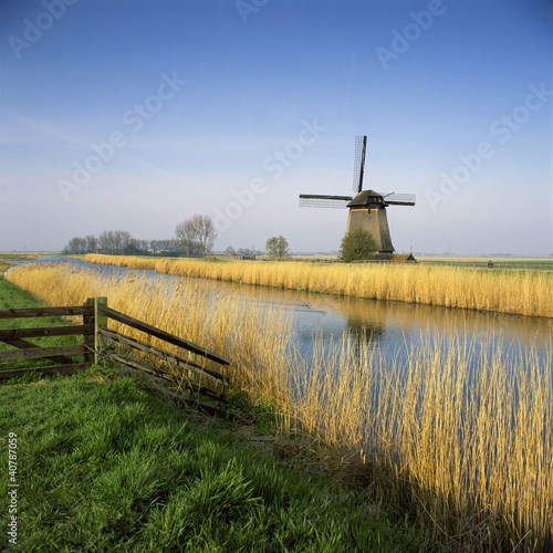Foto: Windmill and wheatfield along rural river Windmill and wheatfield along rural river