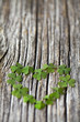 clover heart on wooden background