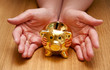 my rich piggy bank