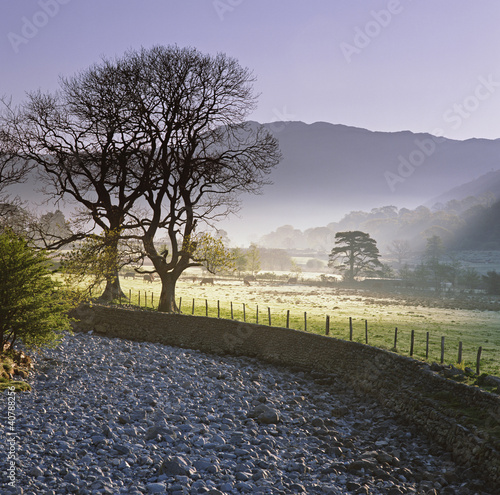 Foto: Trees and stone wall in rural landscape Trees and stone wall in rural landscape
