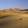 Sand dunes in desert landscape
