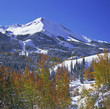 Photo: Autumn trees in snowy landscape Autumn trees in snowy landscape