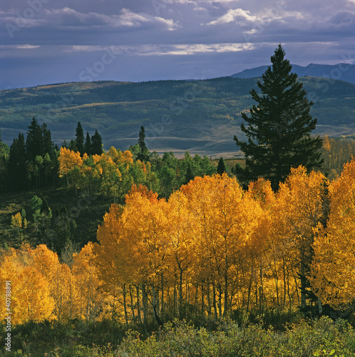 Photo: Autumn trees in rural landscape Autumn trees in rural landscape
