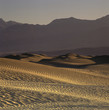 Sand dunes in desert landscape