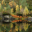 Autumn trees reflected in still lake