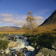 Rocky river in rural landscape