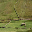 Aerial view of fenced pastures in rural landscape