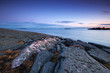 Spring evening seascape