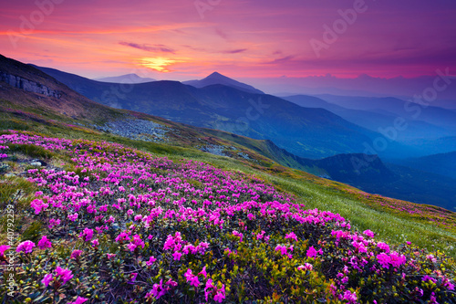 Photo: mountain landscape mountain landscape