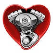 Photo en ligne au meilleur prix cuore vtwin