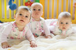 Baby triplets