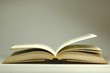 Altes aufgeschlagenes Buch