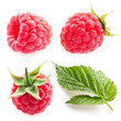 collection. raspberries and leaf isolated on white background collection. raspberries and leaf isolated on white background