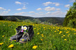 Wanderschuhe Wiese  Frühling