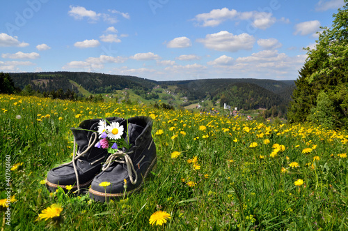 Photo: Wanderschuhe Wiese Frühling Wanderschuhe Wiese Frühling