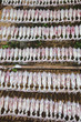 Drying Squid6
