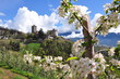 Schloss Tirol im Frühling