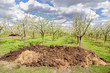 Heap of dung and orchard