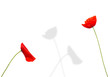 amour de fleurs