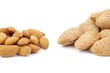 fruits à coques (amandes)