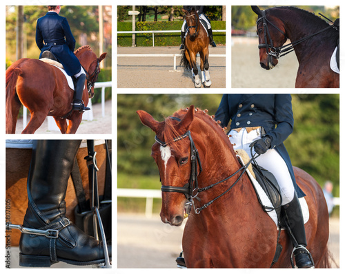 Photo: Art équestre - dressage Art équestre - dressage