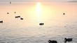 riflesso tramonto