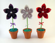 Foto: flor 5 4 flor 5 4